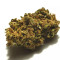 Shiva Blue regular (Xtreme Seeds)