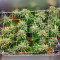 24K Gold (Herbies Seeds)