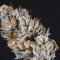 Brain Cake feminized seeds for sale