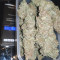 Liberty Haze Seeds - Cannabis Strain Seeds for Sale