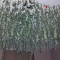 GG#4 Original Glue Seeds (Blimburn Seeds) - Cannabis Strain Seeds for Sale