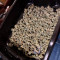 Critical Orange Punch Seeds - Cannabis Strain Seeds for Sale