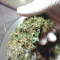 Buy Cream Caramel Auto feminized seeds by Sweet Seeds