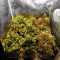 Bubba Delight Regular (CannaBioGen)
