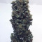 Solomatic Auto CBD Seeds - Cannabis Strain Seeds for Sale