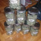 Venta de Wedding Cake (Original Sensible Seeds) | Semillas de marihuana feminizadas