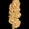 Acquista semi femminizzati Pineapple Glue di Advanced Seeds Organization