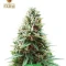 High-THC Bundle #1