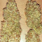 Semi Femminizzati Strawberry Pie Auto (Fast Buds)