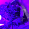 Venta de LSD Auto (Barney's Farm) | Semillas de marihuana feminizadas