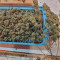 Green Crack Seeds (Garden of Green) - Cannabis Strain Seeds for Sale