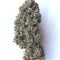 Amnesia XXL Autoflowering Seeds - Cannabis Strain Seeds for Sale