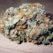 Silver LA feminized seeds