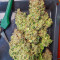 Grapefruit Auto Seeds