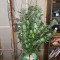White Crystal Meth Auto cannabis strain