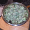 The Church Seeds