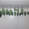 Honey Cream Fast Flowering fem cannabis seeds for sale