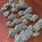 Original Auto BubbleGum Seeds