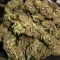 Purple Lemonade Auto RF3 Seeds (Fast Buds)