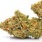 Sugarloaf (CannaBioGen)