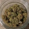 Durban Poison Seeds (Barney's Farm)