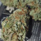 Watermelon Z (Barney's Farm)