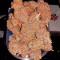 Buy Skywalker Haze feminized seeds by Dutch Passion