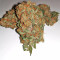 Blackberry Gum Seeds