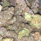 Tropicana Cookies Auto Seeds