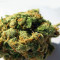 Jack Herer Seeds (Kera Seeds)