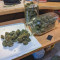 Venta de Pure Kush (GHS) | Semillas de marihuana feminizadas