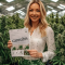 Semillas feminizadas de Black Cherry Punch (Pyramid Seeds)