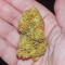Vitality Feminized Seeds (AlphaFem Seeds)