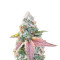 Afghan (Herbies Seeds)