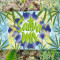 Sativa Mix feminizada (Herbies Seeds)