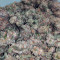 Girl Scout Cookies Seeds (Blimburn Seeds)