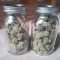 Venta de Sweet ZZ (Sweet Z) (RQS) | Semillas de marihuana feminizadas
