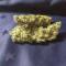 Green Crack Seeds - Cannabis Strain Seeds for Sale