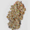 Bangi Haze (Ace Seeds)