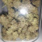 Gorilla Seeds (00 Seeds)