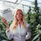 Shiskaberry Feminized Seeds (Barney’s Farm)