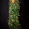 Venta de G13 Haze (Barney's Farm) | Semillas de marihuana feminizadas