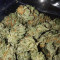 Runtz Muffin Seeds (Barney’s Farm)