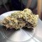 Kritikal Bilbo x AK47 (Genehtik Seeds)