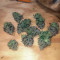 Graines de cannabis Do-Si-Dos (Pyramid Seeds)