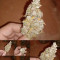 Holy Grail Kush fem cannabis seeds for sale