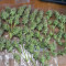 Bruce Banner Auto fem cannabis seeds for sale