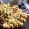 Malawi x PCK (Ace Seeds)