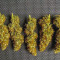 Mexican Airlines Auto (Fast Buds)