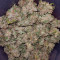 Auto White Widow Seeds (Pyramid Seeds)